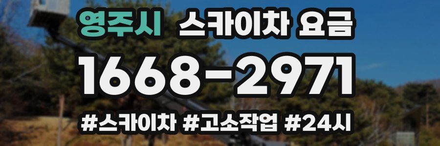영주시 스카이차 요금
