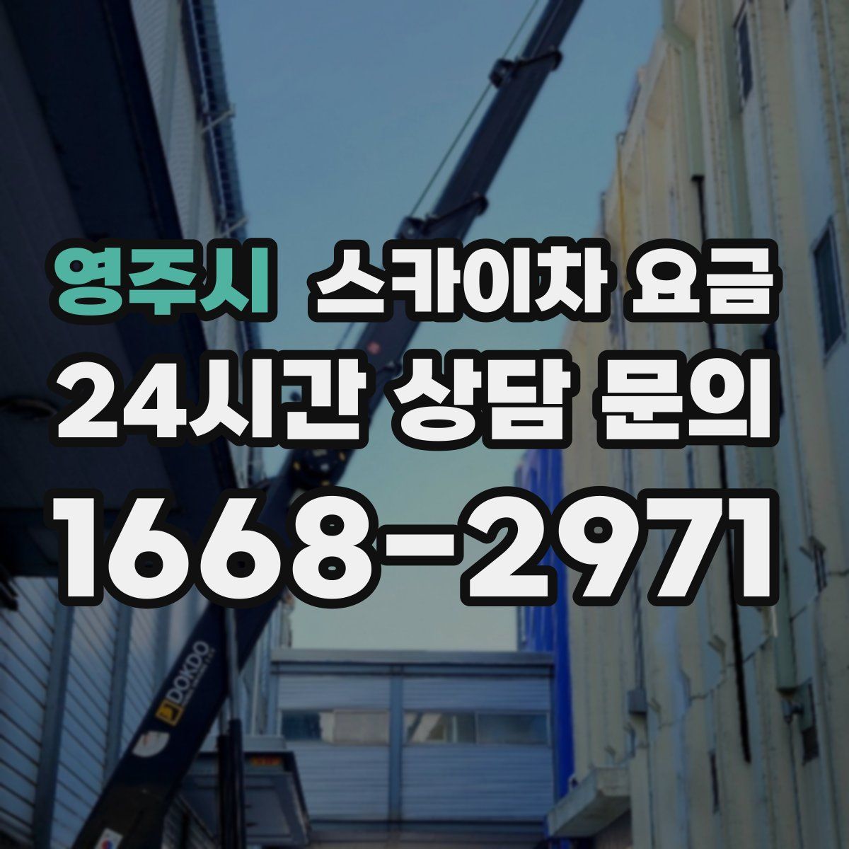 영주시 스카이차 요금