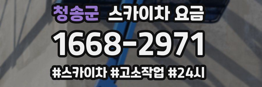 청송군 스카이차 요금