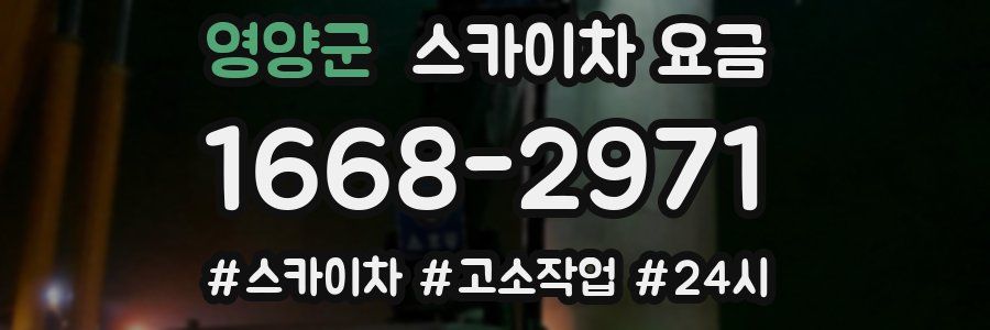 영양군 스카이차 요금