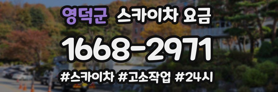영덕군 스카이차 요금