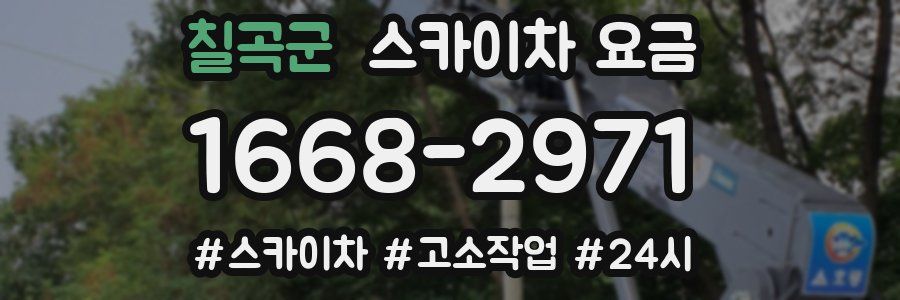 칠곡군 스카이차 요금