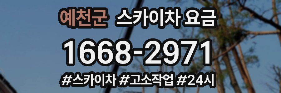 예천군 스카이차 요금