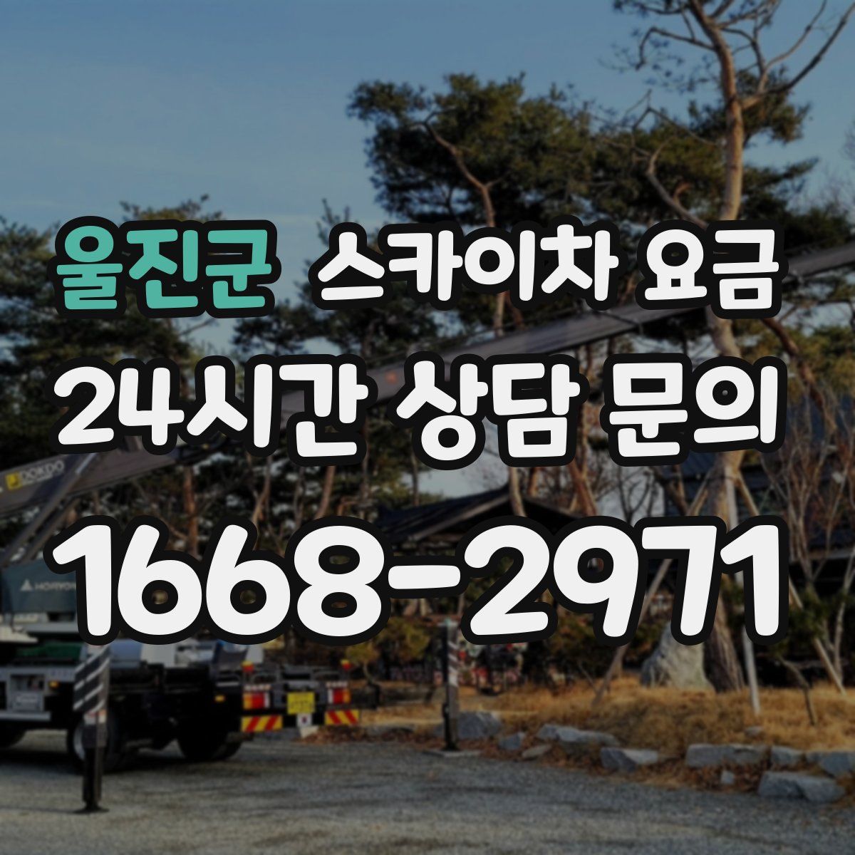 울진군 스카이차 요금