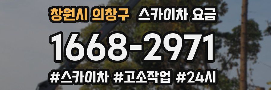 창원시 의창구 스카이차 요금