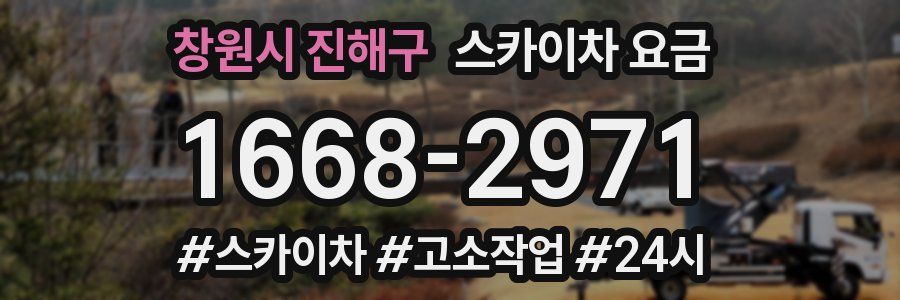 창원시 진해구 스카이차 요금