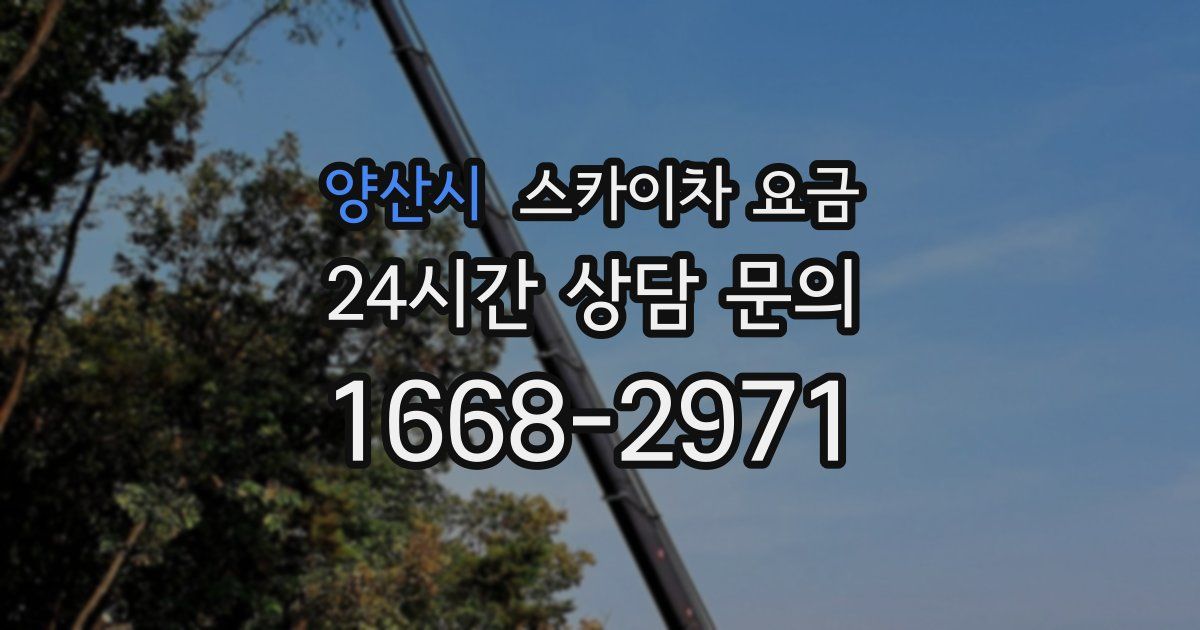 양산시 스카이차 요금
