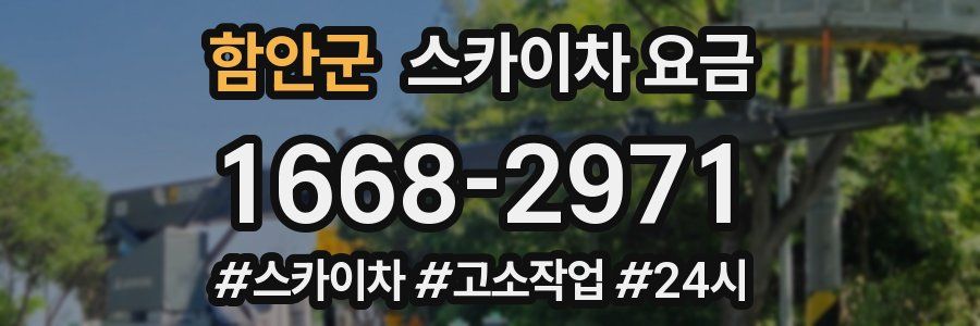 함안군 스카이차 요금