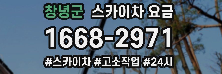 창녕군 스카이차 요금