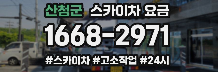 산청군 스카이차 요금