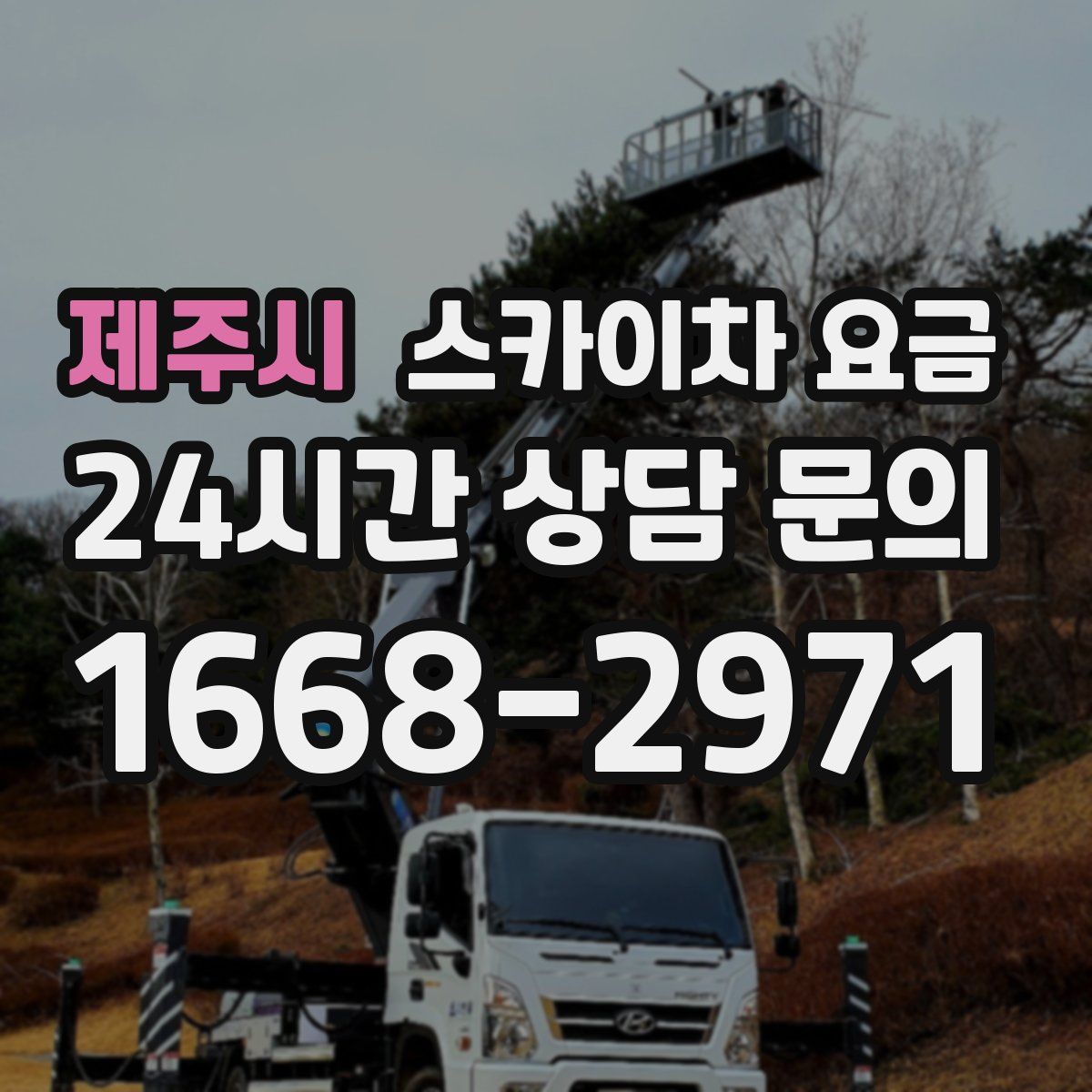 제주시 스카이차 요금