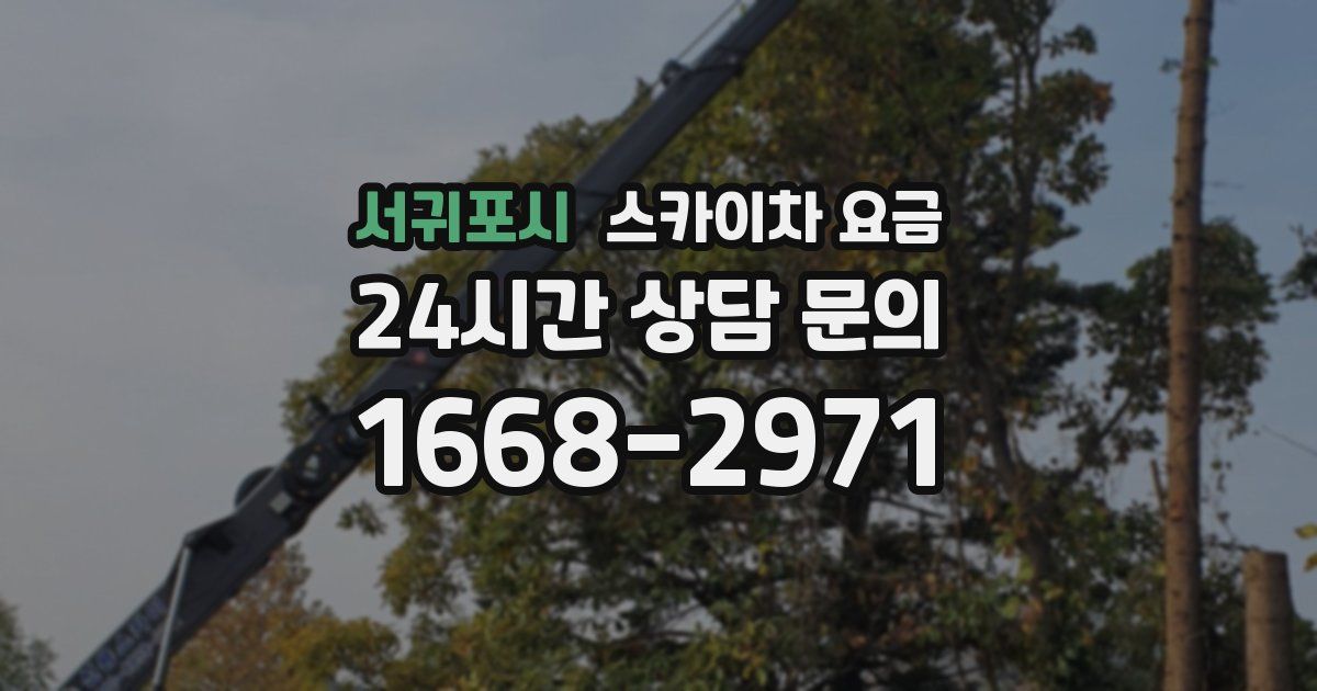 서귀포시 스카이차 요금