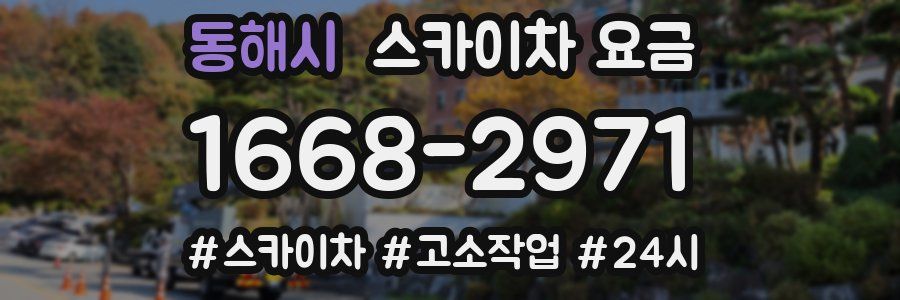 동해시 스카이차 요금