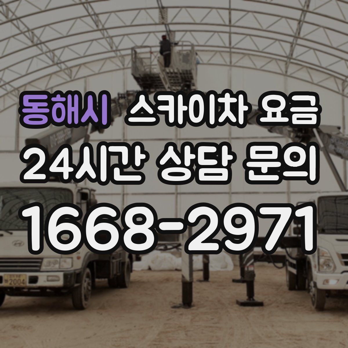 동해시 스카이차 요금
