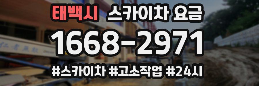 태백시 스카이차 요금