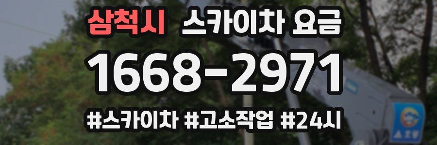 삼척시 스카이차 요금