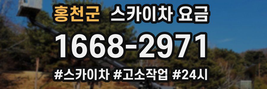 홍천군 스카이차 요금