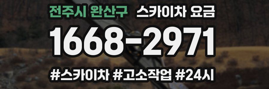 전주시 완산구 스카이차 요금