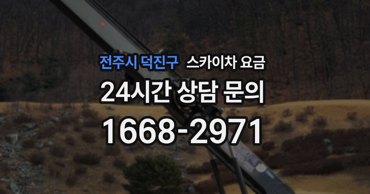 전주시 덕진구 스카이차 요금