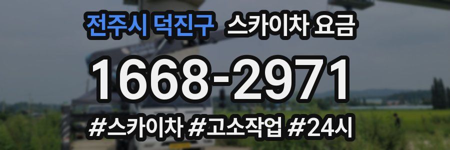 전주시 덕진구 스카이차 요금