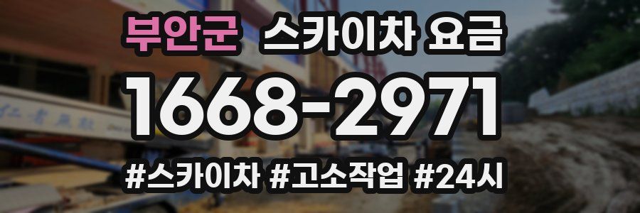부안군 스카이차 요금