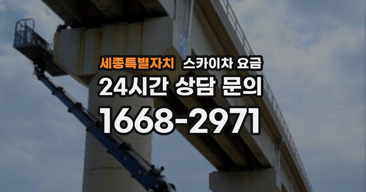 세종특별자치 스카이차 요금