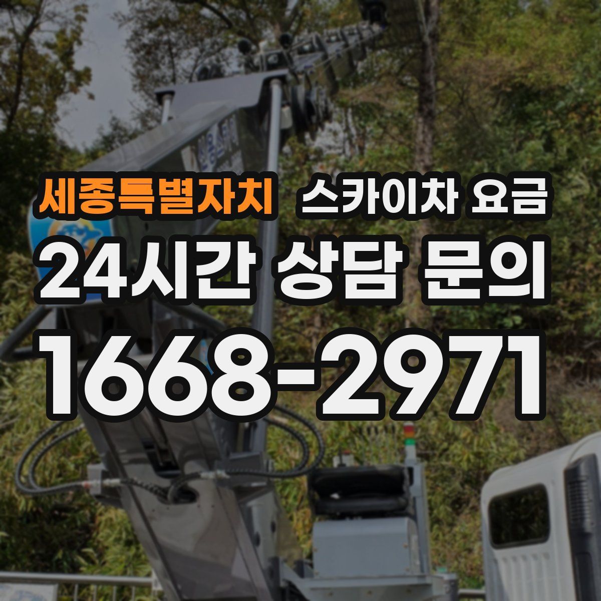 세종특별자치 스카이차 요금