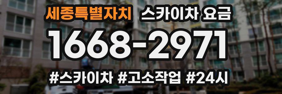 세종특별자치 스카이차 요금