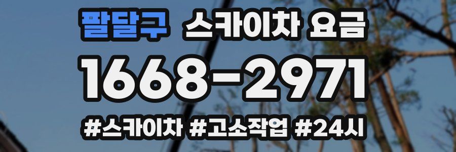 팔달구 스카이차 요금