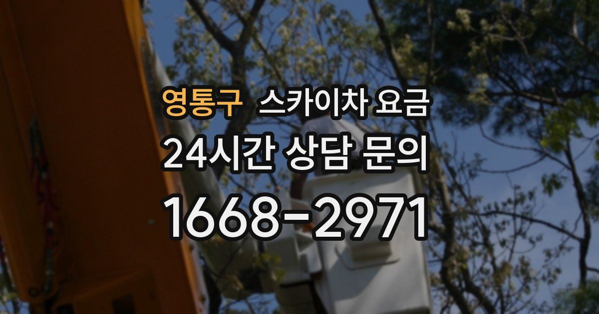 영통구 스카이차 요금
