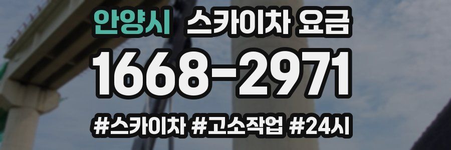 안양시 스카이차 요금