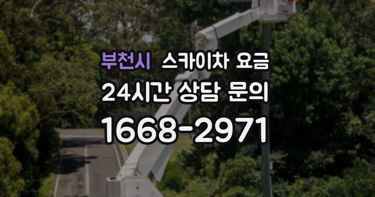 부천시 스카이차 요금