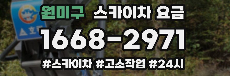 원미구 스카이차 요금