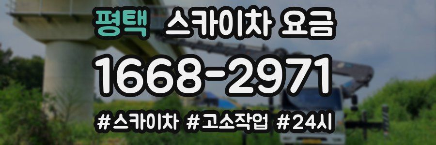 평택 스카이차 요금