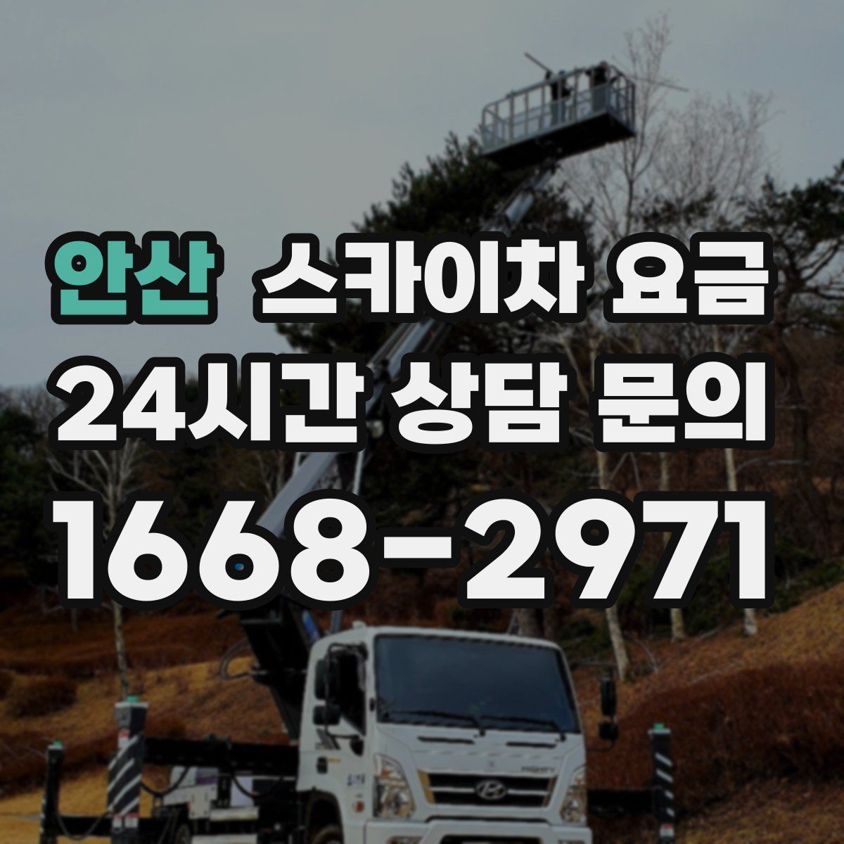 안산 스카이차 요금