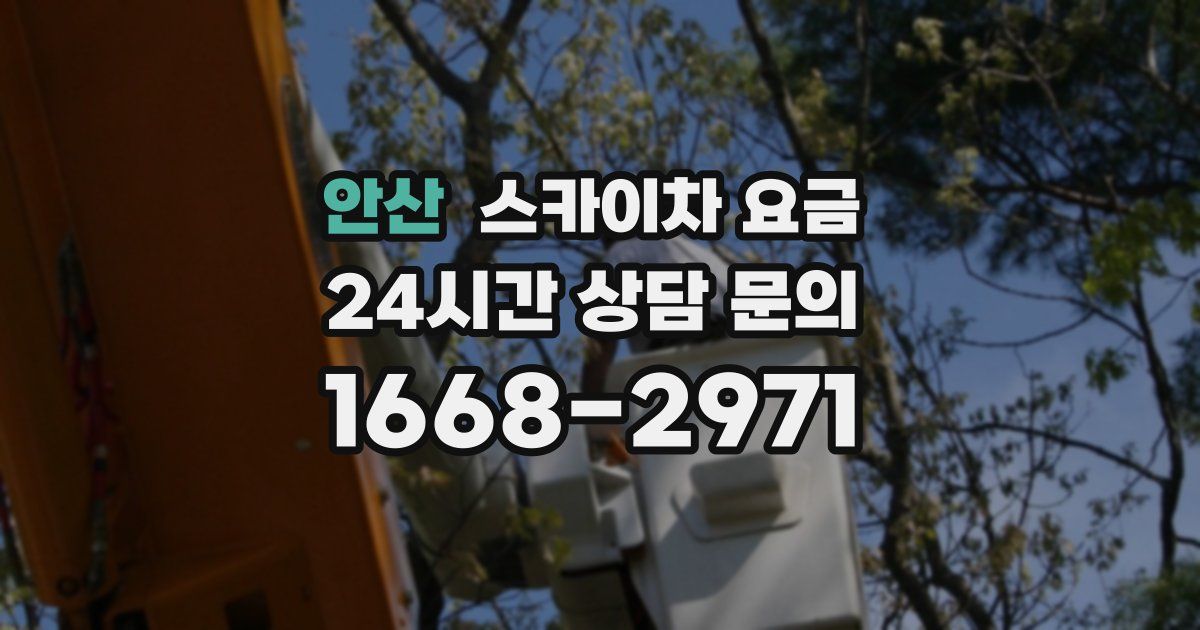 안산 스카이차 요금