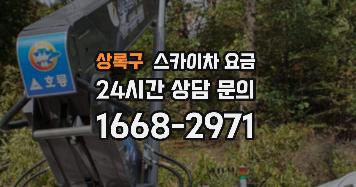 상록구 스카이차 요금
