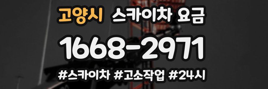 고양시 스카이차 요금