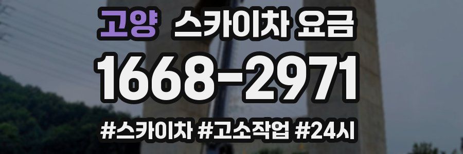 고양 스카이차 요금