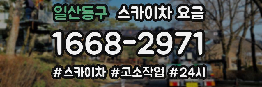 일산동구 스카이차 요금