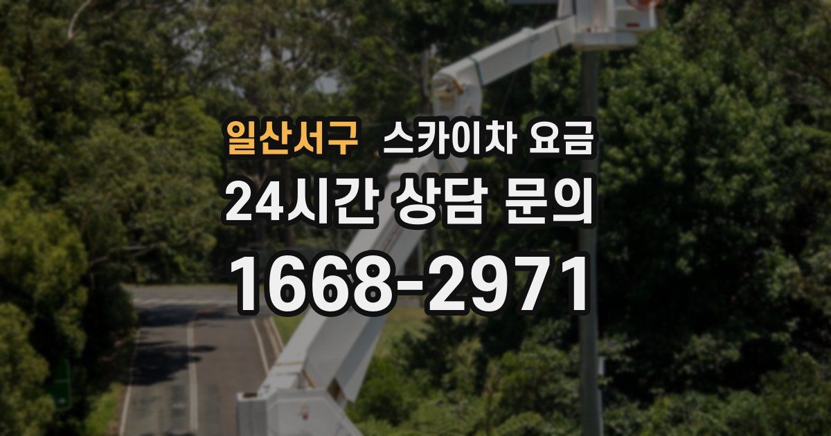 일산서구 스카이차 요금