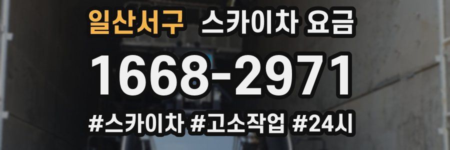일산서구 스카이차 요금