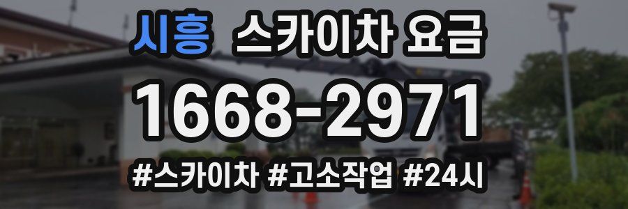 시흥 스카이차 요금