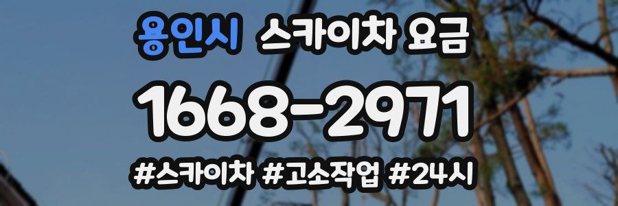 용인시 스카이차 요금