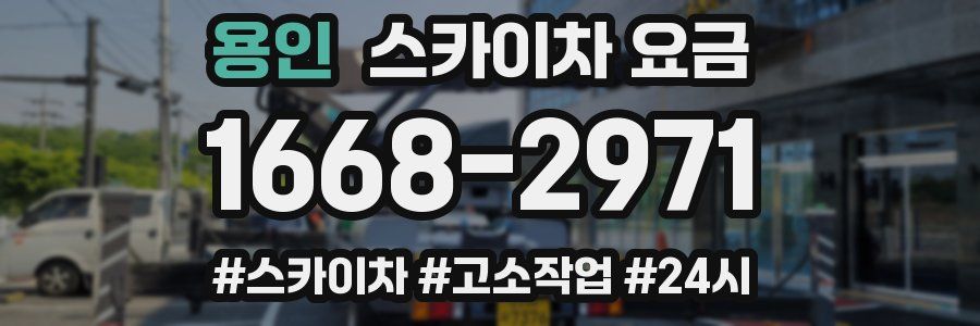 용인 스카이차 요금