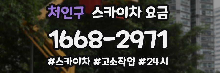 처인구 스카이차 요금