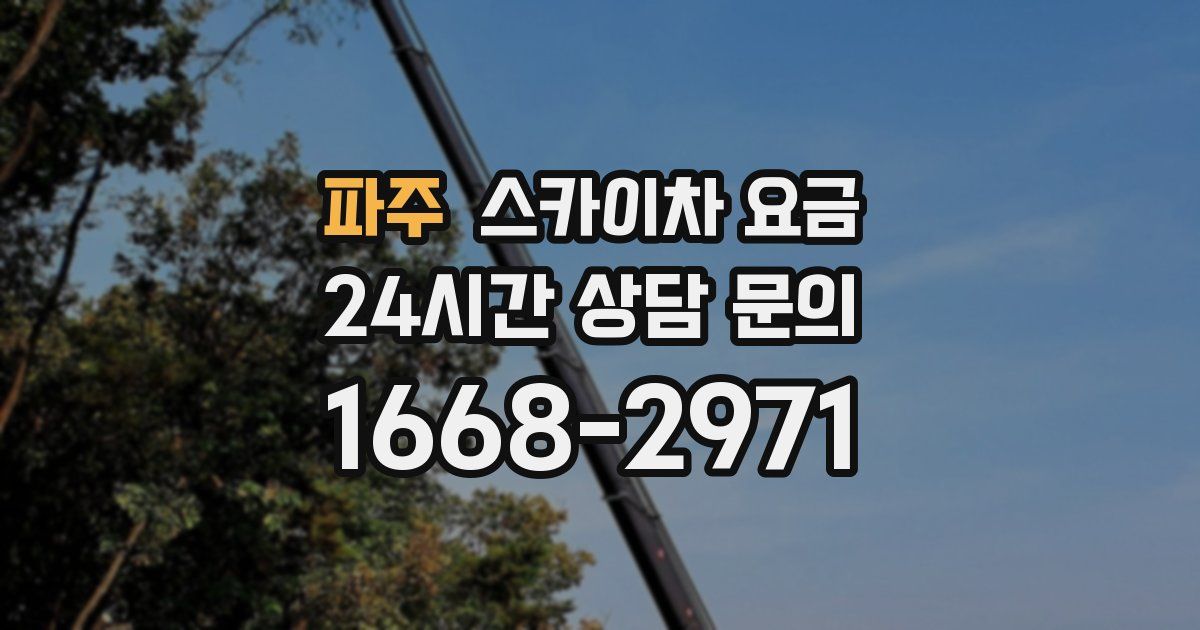 파주 스카이차 요금