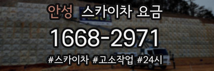 안성 스카이차 요금