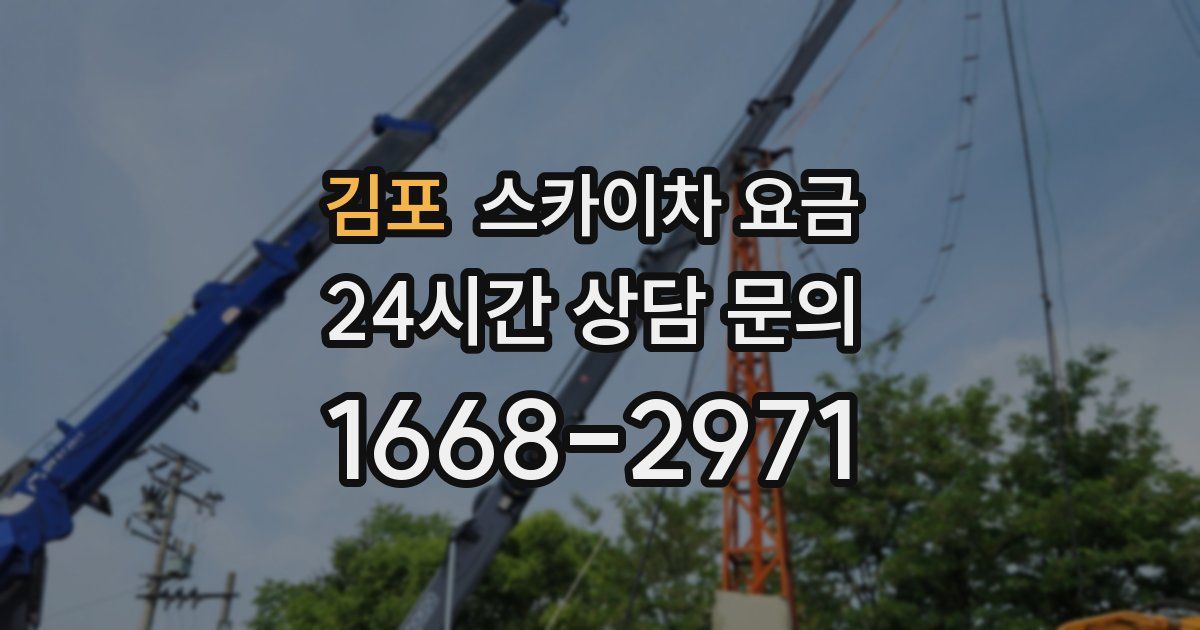 김포 스카이차 요금