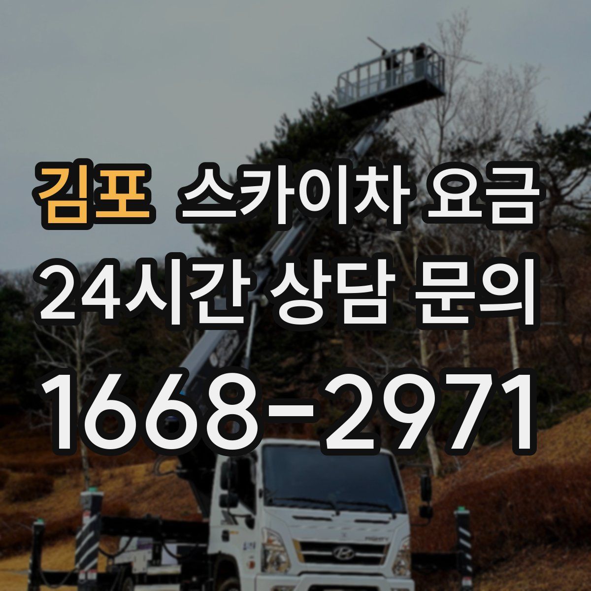 김포 스카이차 요금